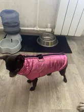 Ropa para perros pequeños ropas impermeables para perro cachorro mascota chaqueta invierno cálido chaleco perro abrigo ropa para Chihuahua Bulldog Francés