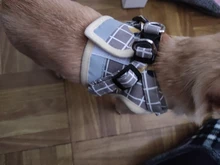 Arnés pequeño y mediano para perro, correa reflectante transpirable para el pecho, a cuadros, ropa para mascota Bichón, suministros de cadena para perro, chaleco estampado