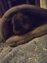 Alfombrilla semicerrada para perro, cojín de conejillo de indias, productos de animales para mascotas, antipilling, cama para cachorro, almohadilla Polar para dormir para gatos cachorros