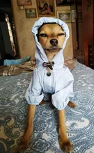 Ropa de perro impermeable de malla transpirable, mono absorbente para el sudor, abrigo reflectante para mascotas, Otoño e Invierno