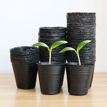 50/100 Pcs Plastic Pot Plant Starters Seedling Nursery Cup Transplanted Seedlings Little Containers Garden Use Pot
50/100 Pcs Plastic Pot Plant Starters Seedling Nursery Cup Transplanted Seedlings Little Containers Garden Use Pot
