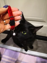 Hebilla de seguridad para cabeza de Gato, parche para Collar de perro, campana de tela, lentejuelas, Collar de gato, cinta de terciopelo con brillo dorado, accesorio para mascotas de 1,0 cm de ancho