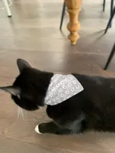 Collar con lazo ajustable para mascotas, Lazo de algodón con diseño Floral para gatos y Chihuahua