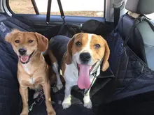 Resistente a los arañazos Protector para asiento de coche para perros impermeable coche de asiento trasero Protector para mascotas cojín de gato y perro hamaca con Visible de malla de ventana mascotas perros accesorios