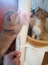 Interactive-Toy-Stick Feather-Wand Cat-Teaser-Toy Cat-Supplies Bell with Gorgeous Quality