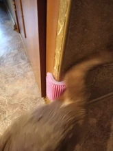 Peine de masaje para gatos, rascador automático, cepillo de esquina de pared, cerdas para rascar, arco de juguete para mascotas, herramienta de depilación de plástico