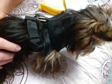 Perro cachorro ajustable para cinturón de seguridad de coche y arnés para perros y gatos, vehículo de mascotas para cinturón de seguridad/cinturón de vida Teddy Yorkie Leash