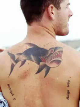 Custom Color by size-28 cm x 20 cm - Rectangular
Custom Color by size-28 cm x 20 cm - Rectangular