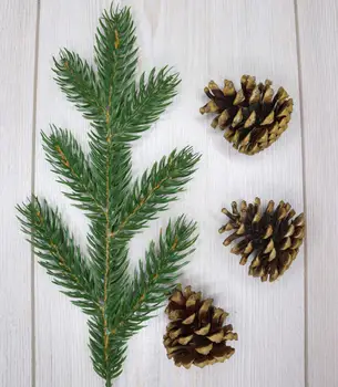 20 PCs Artificial fir branches for New Year's decor TPK "new Christmas tree"
20 PCs Artificial fir branches for New Year's decor TPK "new Christmas tree"
