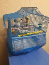 Mascota loro madera cruda Juguetes Para loros y mascotas jaula de pájaros perchas soporte plataforma pata molienda mordeduras Juguetes Para loro accesorios para mascotas