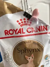 Cuchara para comida de plástico con dibujos animados para mascotas, alimentador de mascotas, multicolor, azul y rosa, 1 unidad