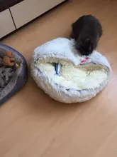 Cama de felpa redonda para mascotas nido de gato semicerrado para Comodidad para dormir profunda en invierno, cama para gatos, pequeña esterilla, cesta, perrera suave, novedad