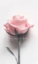 Pantalones vaqueros elásticos desgastados para mujer, Pantalón vaquero de cintura alta, Jeggings ajustados de talla grande 2xl, 2021