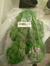 15cm modelo árbol bosque plantas haciendo accesorios HO escala tren ferrocarril paisaje Diorama o disposición, paquete de 5