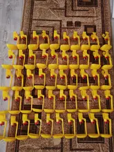 Farming-Equipment Drinkers Water-Bowl Chicken-Hanging Farmtools Models Nipple Pheasant