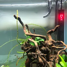 Filtro de acuario de acero inoxidable, accesorios de filtro externo, dentro y fuera del agua para eliminar la película de aceite, tubo de lirio, filtro de acuario