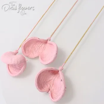 3pcs Badam on Stem Wedding Flowers Diy Bouquet Floristic Supply Natural Flowers Rustic Woodland Dried Tropical Flowers 7-9cm
3pcs Badam on Stem Wedding Flowers Diy Bouquet Floristic Supply Natural Flowers Rustic Woodland Dried Tropical Flowers 7-9cm