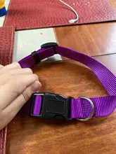 Nulo 1 Uds de Nylon Durable de gato de Color perro Collar del animal doméstico 4 Color Collar ajustable S X M X XL #281494