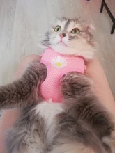 Chaleco para gatos mascota con arnés Floral para perros pequeños, conjunto de arnés y correa de malla acolchada, para cachorros, Chihuahua, Yorkie 10E