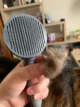 Peine automático para mascotas, cepillo eliminador de pelo Gato, peine para limpieza de belleza de perros, productos para mascotas