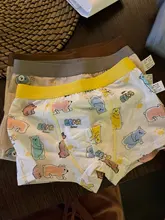 HH 3 unids/set de algodón puro niños calzoncillos de estilo Boxer niños bragas acogedor ropa interior de dibujos animados medio pequeño medias para niños pantalones cortos de niño