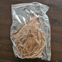 High-Quality Almond Olive-Leaf Aquarium Catappa-Leaves Water-To-Balance Natural Terminalia