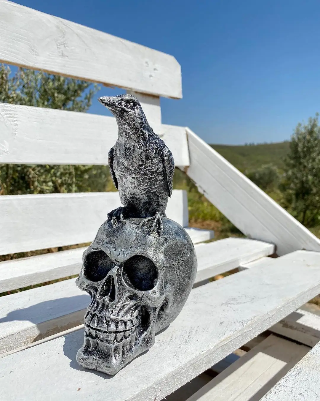 Bird skull 20 CM home decoration accessories, figurines for interior,mythology sculpture, home accessories home room decor,
Bird skull 20 CM home decoration accessories, figurines for interior,mythology sculpture, home accessories home room decor,
