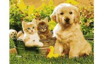 Painting by numbers on canvas 40x50 cm "puppy and two kittens" Red Cat x-8399
Painting by numbers on canvas 40x50 cm "puppy and two kittens" Red Cat x-8399