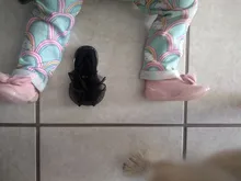 Calcetines para niñas pequeñas, zapatos de goma con suela suave de conejo, calcetines, zapatilla suave bebe niño pequeño, antideslizantes