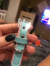 Puppy-Dog-Cat-Collar Engraved Bling Custom Personalized Pet-Dog Dogs Chihuahua Collars