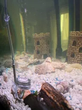 Difusor de CO2 para acuario, atomizador de tanque de peces, Reactor regulador con solenoide, sistema de CO2 para planta con ventosa plateada