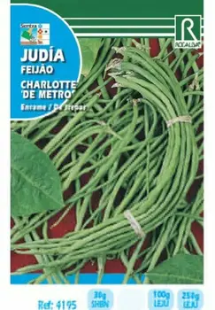 Seeds for planting JUDIA CHARLOTTE
Seeds for planting JUDIA CHARLOTTE