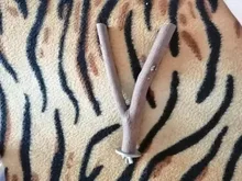 Pet Parrot Raw Wood Fork Stand Rack Toy 1Pcs 15cm Branch Perches For Bird Hamster Cage