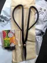 Herramienta de bonsái para principiantes, tijeras de mango largo, tijeras de rama de planta de jardinería, 20cm, envío directo