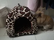 Cesta de cojín lavable en caliente para mascotas, suministros bonitos para casa de perro, gato, conejo, suave, color rosa, gran oferta
