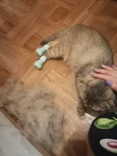 Funda de baño antimordedura para zapatos de gato, Protector de patas para mascotas, antiarañazos, ajustable