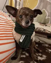 Scarf Jacket Dogs French Bulldog Winter Plush-Coat Pet-Dog Cotton Warm Thick for Puppy-Ropa-Perro