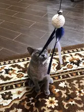 Interactive-Toys Teaser-Stick Cat Catcher Bird-Feather Plush-Cat-Wand Fish Cat Bell Mouse