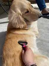 HSWLL-cepillo de doble cara de acero inoxidable para Gato, peine profesional para perros grandes, cuchillo rastrillo de nudo abierto, productos para el cuidado de mascotas