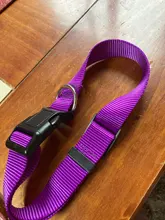 Nulo 1 Uds de Nylon Durable de gato de Color perro Collar del animal doméstico 4 Color Collar ajustable S X M X XL #281494