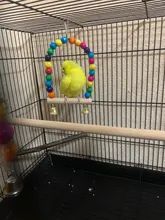 Wooden Parrot Swing Toy Bird Cage Accessories Bird Stand Rack Hanging Perch For Bird Parrot Swing Toy with Colorful Beads Bells