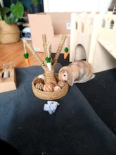 4Pcs Natural Small Animal Activity Chew Toys Rabbits Bird Parrot Play Rattan Balls