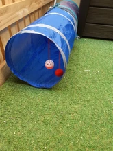 Juguete de túnel para mascotas, tubos de juego con 2 agujeros, bolas plegables, antiarrugas, para cachorros, hurones y conejos