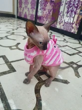 Ropa de Gato cálida para gatos, ropa de primavera y Gato, de lana suave, gatito, gatito, abrigos para gato, chaqueta, disfraces
