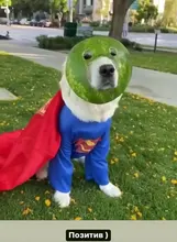 Cable magnético redondo de 8 pines tipo C, de carga rápida Conector Micro USB C, cargador magnético de teléfono, para iPhone, 1m