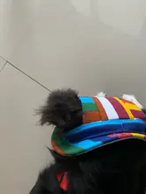 Dog-Cap Headdress-Accessories Puppy Beach-Visor Ear-Holes Dogs Small with for Canvas-Cap