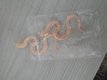 Joyería Europea personalidad distorsionada serpiente geométrica mujer exagerada en relieve Stud pendientes