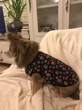 Chaleco para perros, ropa de dibujos animados, chaleco con Calavera, camiseta para perros y gatos, cachorro suave, ropa para perros, camiseta chaleco 2XS-5XL 25Q