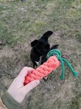 MZHQ-juguete para perros de 22cm con forma de zanahoria, cuerda, juguetes masticables para cachorros, limpieza Teath, entrenamiento divertido al aire libre, 1 unidad