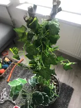 Planta colgante artificial, mata de 90cm con hojas verdes de hiedra y parra para la decoración del hogar, el jardín y fiestas